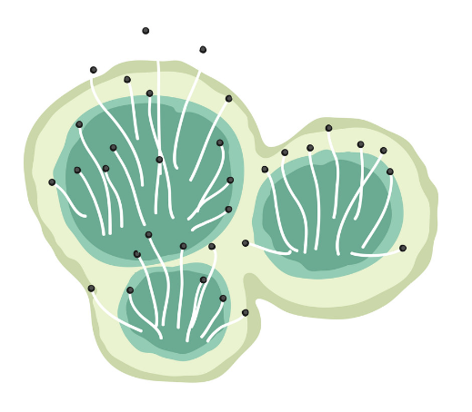 Mold